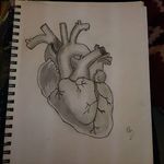 rose - @rosecater71 - Instagram