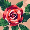 Rosa Chacon - @rosa.chacon07 - TikTok