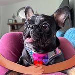 Rose Chaney - @angelchaney - Instagram