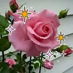 Rose Chavez - Facebook