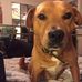 Rose Cheney - Facebook