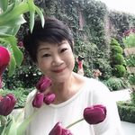 Rose Chin - @rosechin31 - Instagram