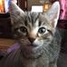 Rose Clemons - Facebook