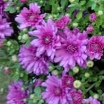 Rose Coates - Facebook