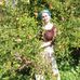 Rose Cohen - Facebook