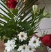 Rose Colson - Facebook