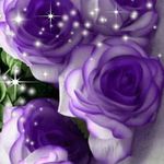 Rose Colwell - @rmlcolwell - Instagram