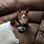 Rose Colwell Gagnon - @roseggagnon - Instagram