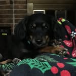 Gypsy Rose Combs - @gypsy.418 - Instagram