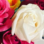 Rose Contreras - @mrscontreras110417 - Instagram