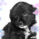 Maisie Rose Cotter - @unicorn_and_glitter1234 - Instagram