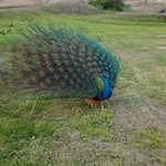 Rose Covington - @rosecovington16 - Instagram