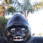 rose covington - @covington9911 - Instagram