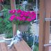 Rose Dizon Crist - Facebook