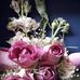 Rose Crook - Facebook