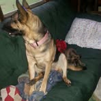 Rosa Crownover - Facebook