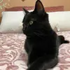 Rosa Cuesta - @rosacuesta4 - TikTok