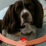Rose Curran - @rose.stevenson.520 - Instagram