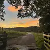 Rose Curry - @rc.spam12 - TikTok