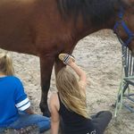 Rose Custer - @rose.custer - Instagram