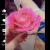 rosecuster5 - @rosecuster5 - TikTok