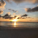 Rose Damato - @damato7647 - Instagram