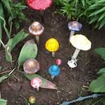 Roseanne Darrah - @roseannedarrah - Instagram