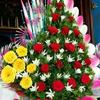 Rose Day - @roseday5 - TikTok