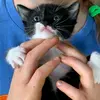 Rosa De carlo - @rosa0000009 - TikTok