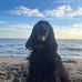 Rosa De Gennaro - Facebook