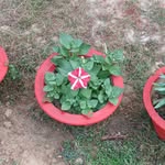 rose. dey - @rahulkumarmandel123 - Instagram