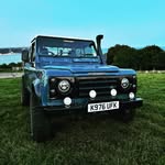 Rose  |  Dick The Defender - @dickthedefenderrr - Instagram