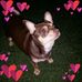 Rose Dilworth - Facebook