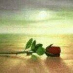 Rose Dismuke - @rosedismuke19gmailcom - Instagram