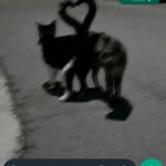 𝖒𝖆𝖗𝖎𝖆543 - @rosedorant79 - Instagram