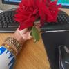 rose - @rosedoran31 - TikTok