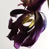 rose - @rosedorn3 - TikTok