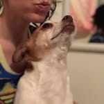 Rose Van Dorn - @little_rosie_girl - Instagram