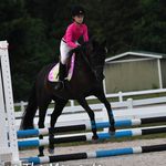 Ashley Rose Dowdy - @journey_with_mia7 - Instagram