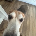 rose drew - @rosedrew3850 - Instagram