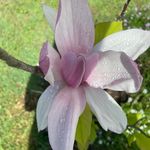 Rose Driver - @rose_driver - Instagram