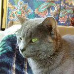 Rose Dudley - @redbud72 - Instagram