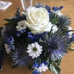 Rose Dudley - @rosedudley848 - Instagram