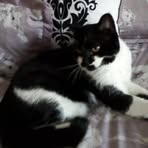 Rose Dudley - Facebook