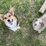 ✰ ✰ Emmy Rose & Dutton Lynn✰ ✰ - @emmyrose_and_duttonlynn - Instagram