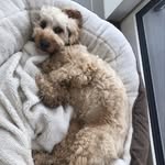 Rose Dwyer - @rose_dwyer07 - Instagram