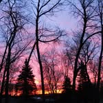 Rose Eggert - @rose.eggert - Instagram