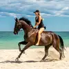 Elirose Equestrian - @elirose.equestrian - TikTok