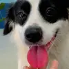 Rose Eli - @rose.eli53 - TikTok