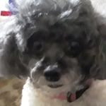 Rose Elmore - @rose.elmore.355 - Instagram